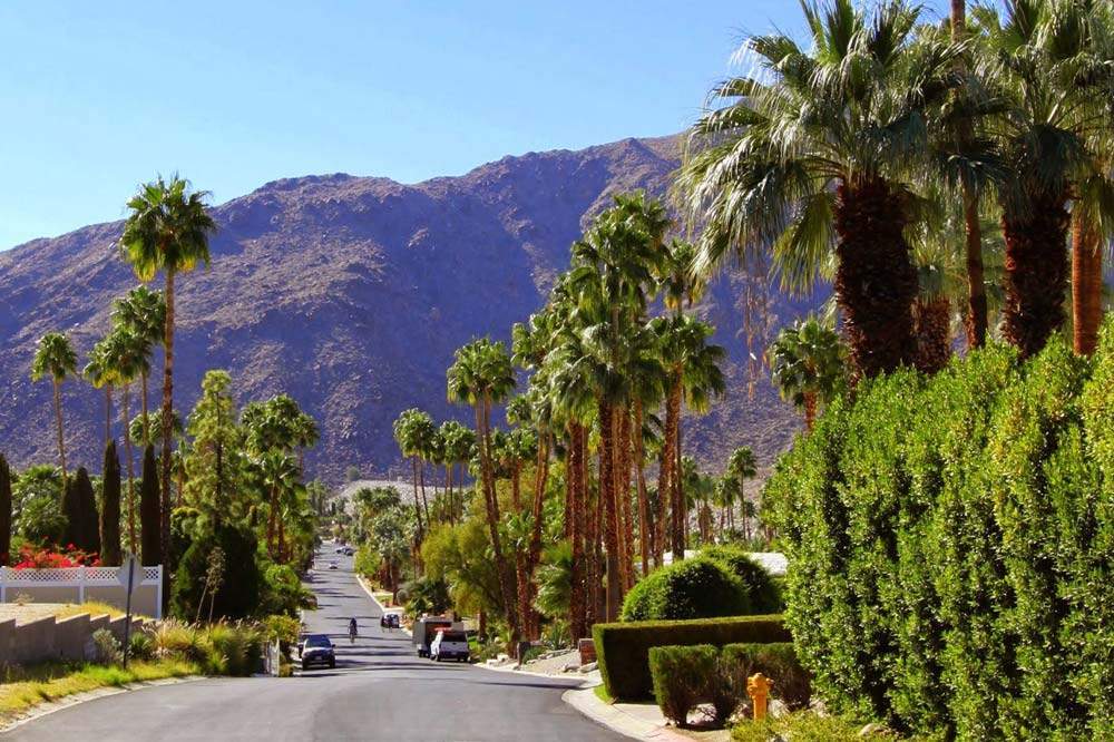 Vista Las Palmas, Palm Springs, CA Real Estate & Homes For Sale