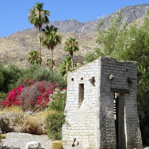 The Mesa Palm Springs CA Neighborhood