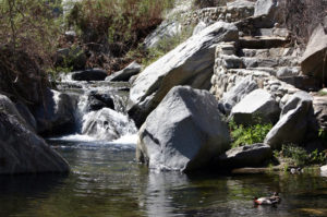 tahquitz creek palm springs